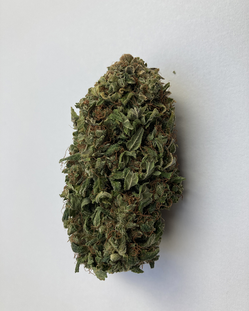 CBD FANTASY BUD kvety 2g JohanesCa