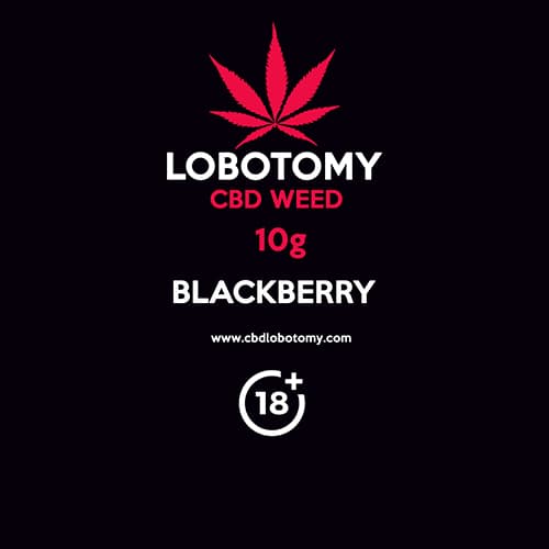 CBD konopný kvet weed BLACKBERRY 10g LOBOTOMY