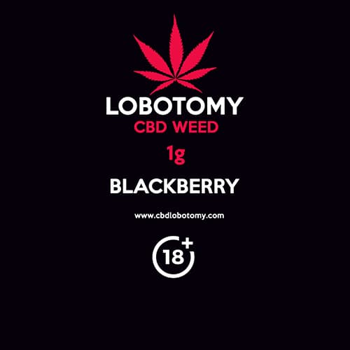 CBD konopny kvet weed BLACKBERRY 1g LOBOTOMY