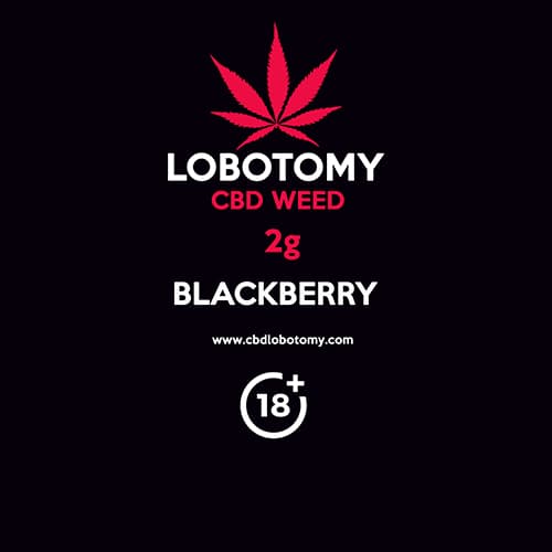 CBD konopný kvet weed BLACKBERRY 2g LOBOTOMY