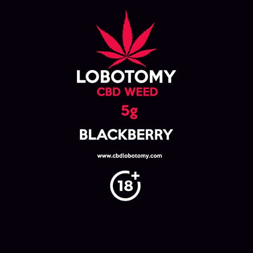 CBD konopný kvet weed BLACKBERRY 5g LOBOTOMY