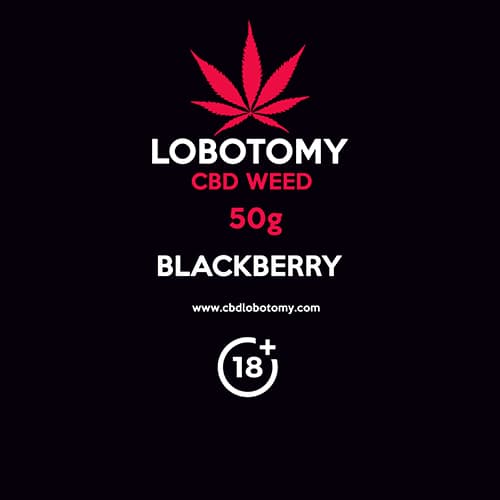 CBD konopný kvet weed BLACKBERRY 50g LOBOTOMY