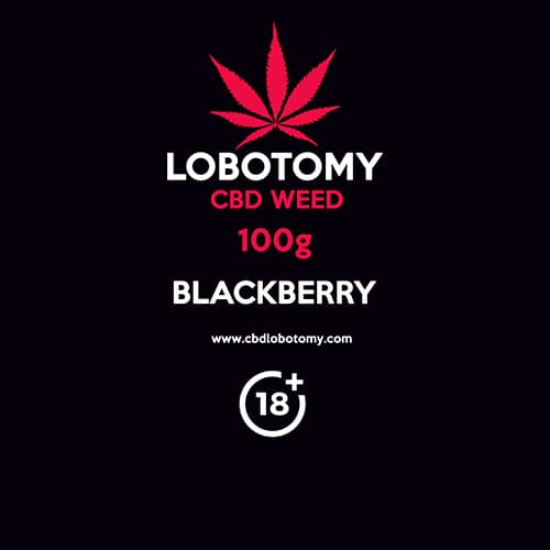 CBD konopný kvet weed BLACKBERRY 100g LOBOTOMY