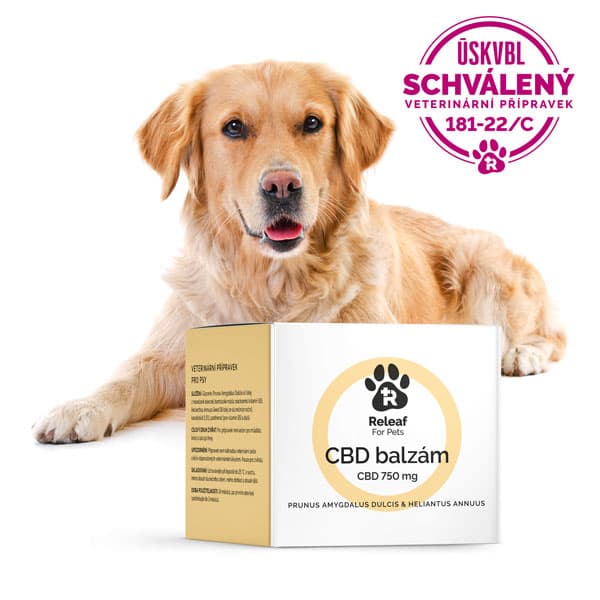 Releaf CBD balzam pre psov