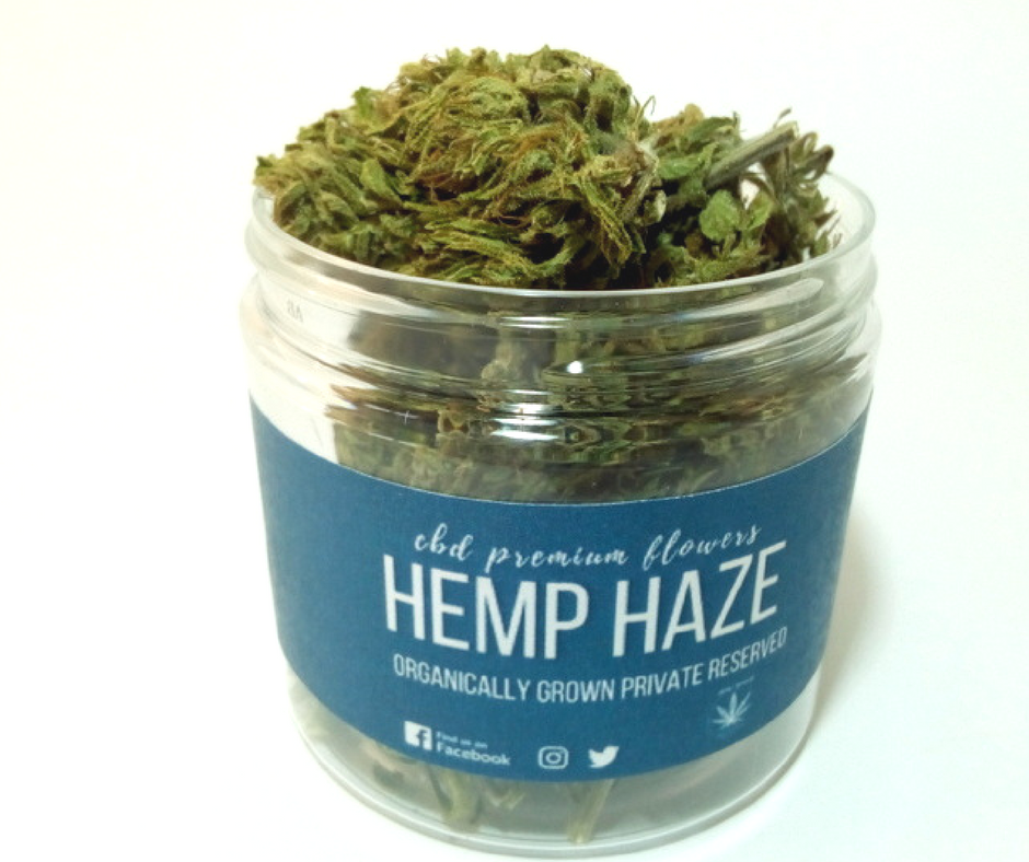 CBD Hemp Haze 7g květy Hemp Yourself