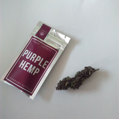 CBD Hemp Purple květy 1g Hemp Yourself