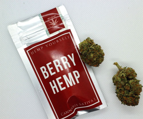 CBD Hemp Berry 1g Hemp Yourself